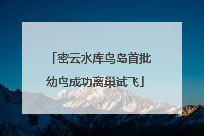 密云水库鸟岛首批幼鸟成功离巢试飞